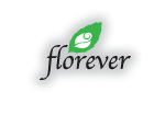 プリザーブドフラワーのflorever（フロールエバー）